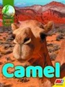 Karen Durrie - Camel