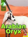 Aaron Carr - Arabian Oryx