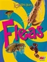 Megan Kopp - Fleas