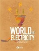 Heron Books - World of Electricity