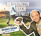 Bernhard Hoëcker - Am schönsten Arsch der Welt, 2 Audio-CDs (Audiolibro)