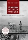 Richard Wright - 12 Million Black Voices