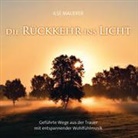 Ilse Mauerer - Die Rückkehr ins Licht, Audio-CD (Hörbuch)
