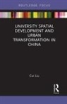 Cui Liu - University Spatial Development and Urban Transformation in China