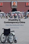 Sarah Dauncey, Sarah (University of Nottingham) Dauncey, Dauncey Sarah - Disability in Contemporary China