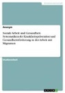 Anonym, Anonymous, Frieda von Meding, Frieda von Meding - Soziale Arbeit und Gesundheit. Systematiken der Krankheitsprävention und Gesundheitsförderung in der Arbeit mit Migranten