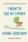 JB Anton Hur, Anton Hur, Kyung-Sook Shin - I Went To See My Father