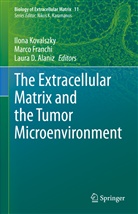 Laura D. Alaniz, Laura D Alaniz, Marco Franchi, Ilona Kovalszky - The Extracellular Matrix and the Tumor Microenvironment