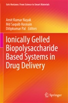 Md Saquib Hasnain, Amit Kumar Nayak, Dilipkumar Pal, Md Saquib Hasnain - Ionically Gelled Biopolysaccharide Based Systems in Drug Delivery