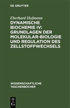Eberhard Hofmann - Dynamische Biochemie IV: Grundlagen der Molekularbiologie und Regulation des Zellstoffwechsels