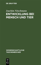 Joachim Nitschmann - Entwicklung bei Mensch und Tier