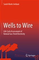 Sarah Marie Jordaan - Wells to Wire