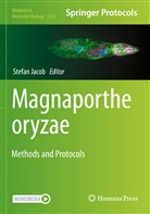 Stefan Jacob - Magnaporthe oryzae