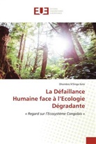 Dhombro N'Singa Kete - La Défaillance Humaine face à l'Ecologie Dégradante