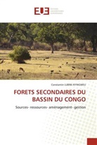 Constantin LUBINI AYINGWEU - FORETS SECONDAIRES DU BASSIN DU CONGO