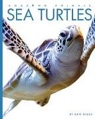 Riggs Kate, Kate Riggs - Sea Turtles