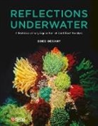 Oded Degany - Reflections Underwater