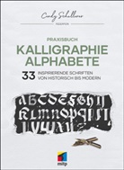 Carina Alexandra Richter, Cindy Schullerer - Praxisbuch Kalligraphie Alphabete