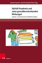 Fernández Pérez, José Fernández Pérez, Carsten Gansel - Störfall Pandemie und seine grenzüberschreitenden Wirkungen