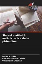 Vikramsinh Chauhan, Bhaumikkumar G. Patel, Mikita K. Shah - Sintesi e attività antimicrobica delle pirimidine