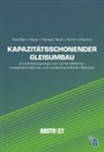 Axel-Björn Hüper, Hannes Tesch, Achim Uhlenhut - Kapazitätsschonender Gleisumbau