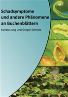 Sandro Jung, Gregor Schmitz - Schadsymptome und andere Phänomene an Buchenblättern