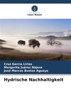 Busto, José Marcos Bustos Aguayo, Cruz García Lirios, Margarita Juárez Nájera - Hydrische Nachhaltigkeit