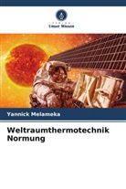 Yannick Melameka - Weltraumthermotechnik Normung