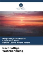 Cruz García Lirios, Margarita Juárez Nájera, River, Bertha Leticia Rivera Varela - Nachhaltige Wahrnehmung