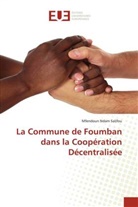 Mfendoun  Ndam Salifou, Mfendoun Ndam Salifou - La Commune de Foumban dans la Coopération Décentralisée