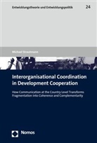 Michael Strautmann - Interorganisational Coordination in Development Cooperation