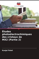 Kunjal Patel - Études photoélectrochimiques des cristaux de MX2 (Partie 2)