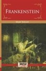 Mary Shelley - Frankenstein