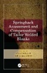 Ab (Universiti Sains Malaysia Abdullah, Mf (Ammp Centre Jamaludin, Ab Abdullah, AHMAD BAHARUDDIN ABDULLAH, MF Jamaluddin, MF Jamaludin... - Springback Assessment and Compensation of Tailor Welded Blanks