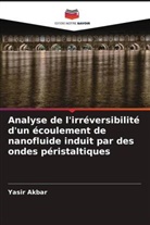 Yasir Akbar - Analyse de l'irréversibilité d'un écoulement de nanofluide induit par des ondes péristaltiques