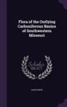 David White - Flora of the Outlying Carboniferous Basins of Southwestern Missouri
