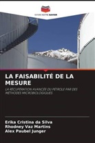 Erika Cristina da Silva, Alex Paubel Junger, Rhodney Vaz Martins - LA FAISABILITÉ DE LA MESURE