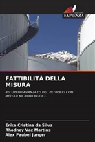Erika Cristina da Silva, Alex Paubel Junger, Rhodney Vaz Martins - FATTIBILITÀ DELLA MISURA