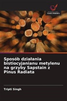 Tripti Singh - Sposób dzialania bistiocyjanianu metylenu na grzyby Sapstain z Pinus Radiata