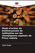 Tripti Singh - Mode d'action du bisthiocyanate de méthylène sur les champignons sapstain de Pinus radiata