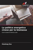 Xiaolong Zou - La politica energetica cinese per la biomassa