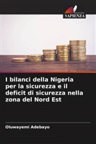 Oluwayemi Adebayo - I bilanci della Nigeria per la sicurezza e il deficit di sicurezza nella zona del Nord Est