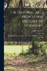 John Haywood - The Natural and Aboriginal History of Tennessee: up to the First Settlements Therein by the White People, in the Year 1768
