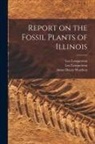 Leo Lesquereux, Amos Henry Worthen, Leo Lesquereux - Report on the Fossil Plants of Illinois