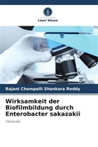 Rajani Champalli Shankara Reddy - Wirksamkeit der Biofilmbildung durch Enterobacter sakazakii