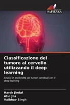 Atul Jha, Harsh Jindal, Vaibhav Singh - Classificazione del tumore al cervello utilizzando il deep learning