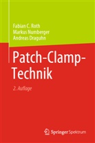 Draguhn, Andreas Draguhn, Markus Numberger, Fabian C Roth, Fabian C. Roth, Fabian Christoph Roth - Patch-Clamp-Technik