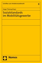 Lena Bleckmann, Melanie Jänsch, Sebastian Rombey, Charlot Schippers, Charlotte Schippers, Gregor Thüsing... - Sozialstandards im Mobilitätsgewerbe