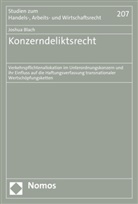 Joshua Blach - Konzerndeliktsrecht