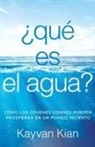 Kayvan Kian - ¿Qué es el agua?